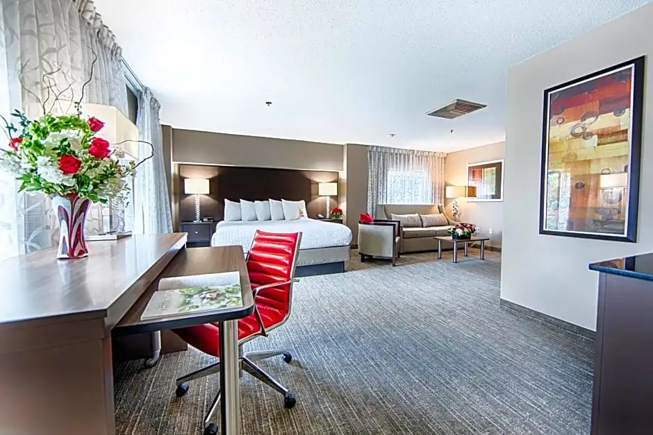 Hotel Capstone - Chambres