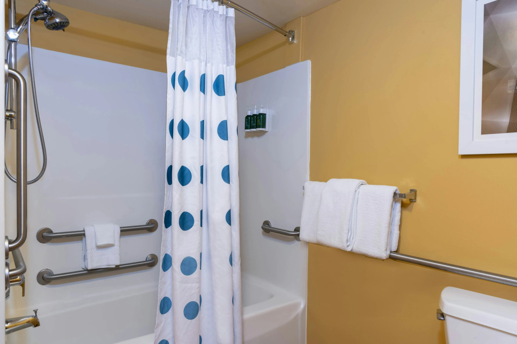 Towneplace Suites by Marriott East Lansing - Général