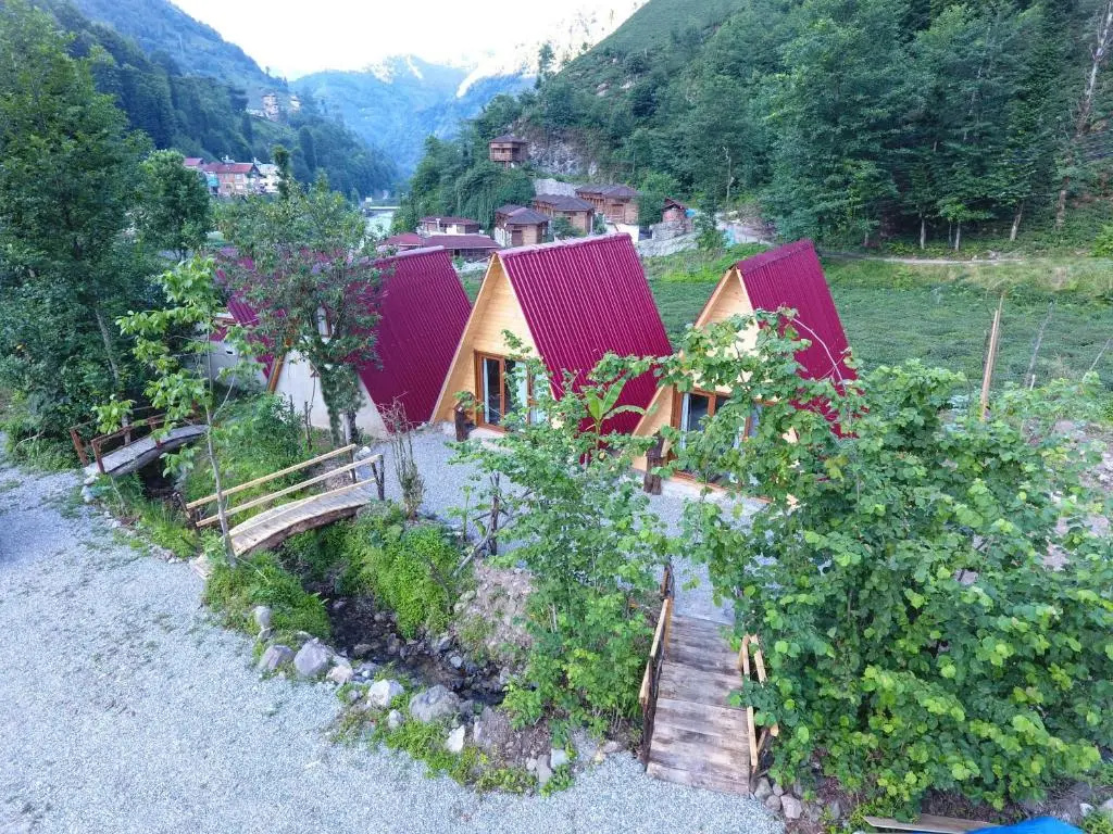 Bungalow with garden view