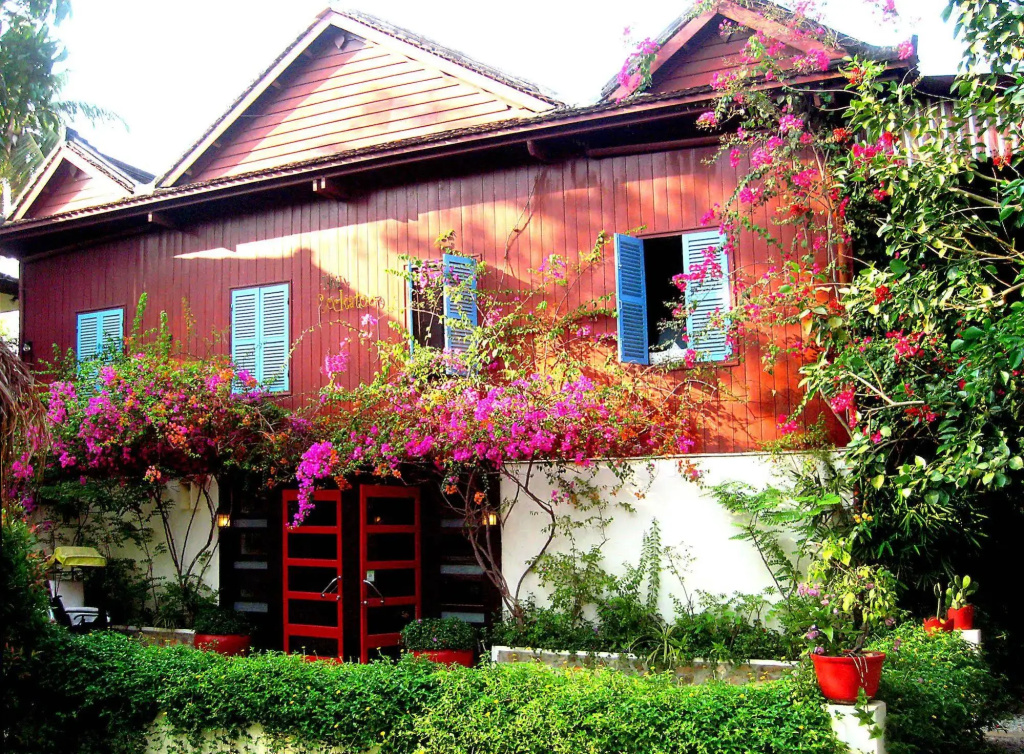The Cockatoo Nature Resort & Spa - Général
