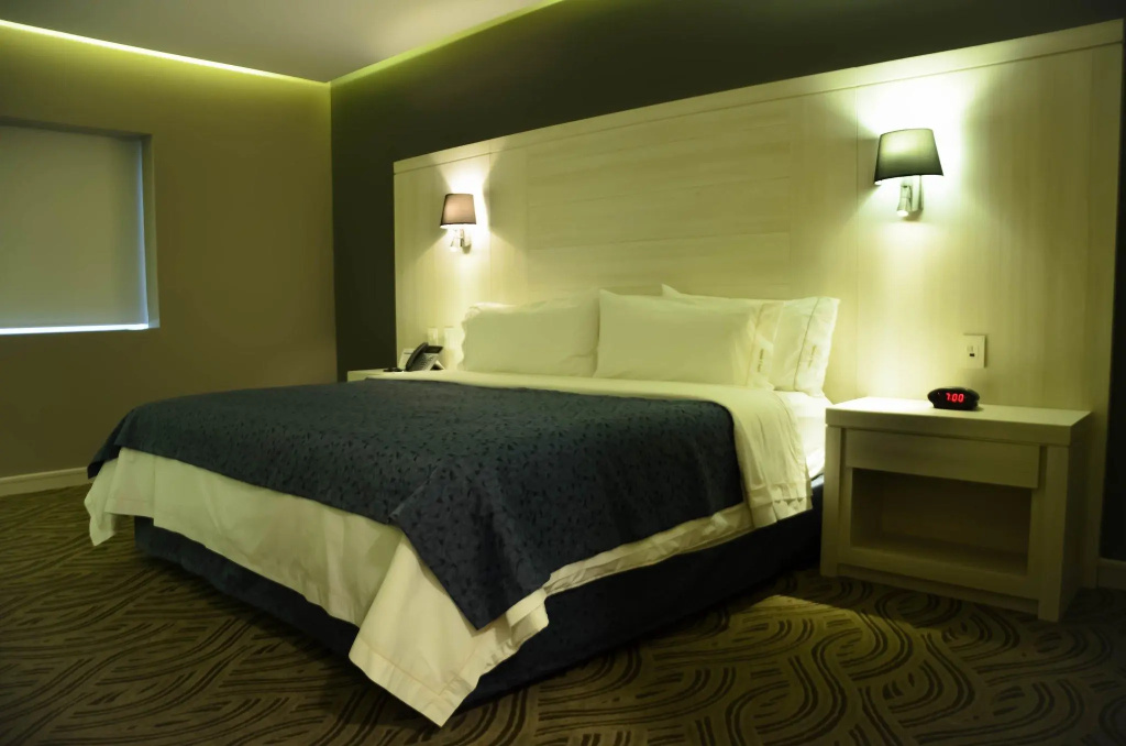 Holiday Inn Express Pachuca by IHG - Chambres