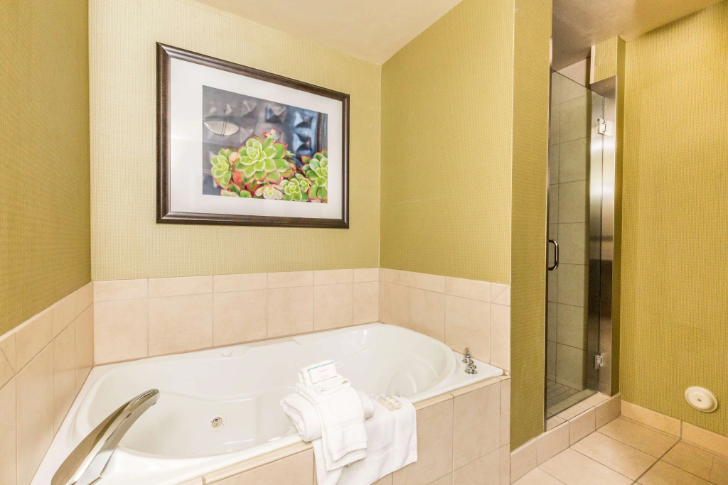Hilton Garden Inn St. George - Général