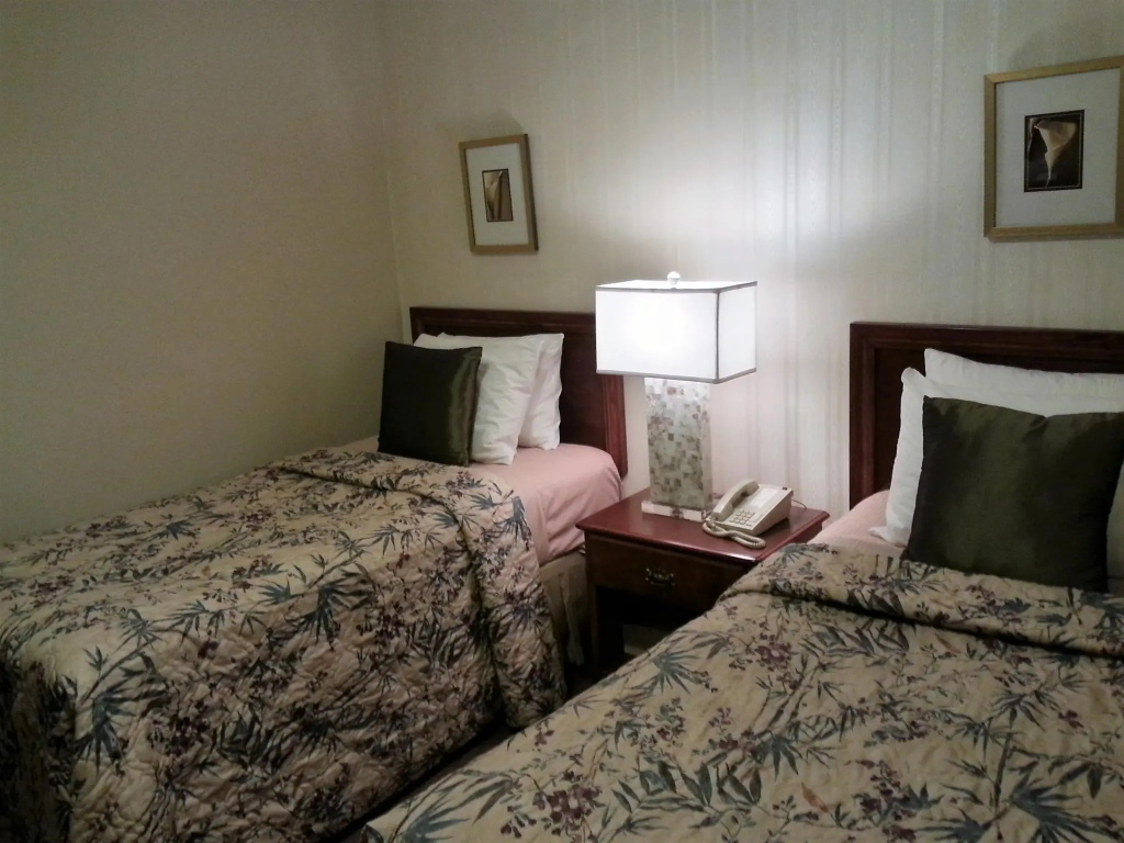 Standard Double room (twin beds)