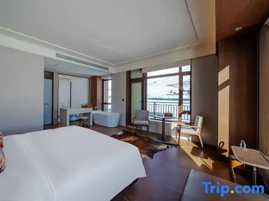 Standard Double room with mountain view (full double bed)