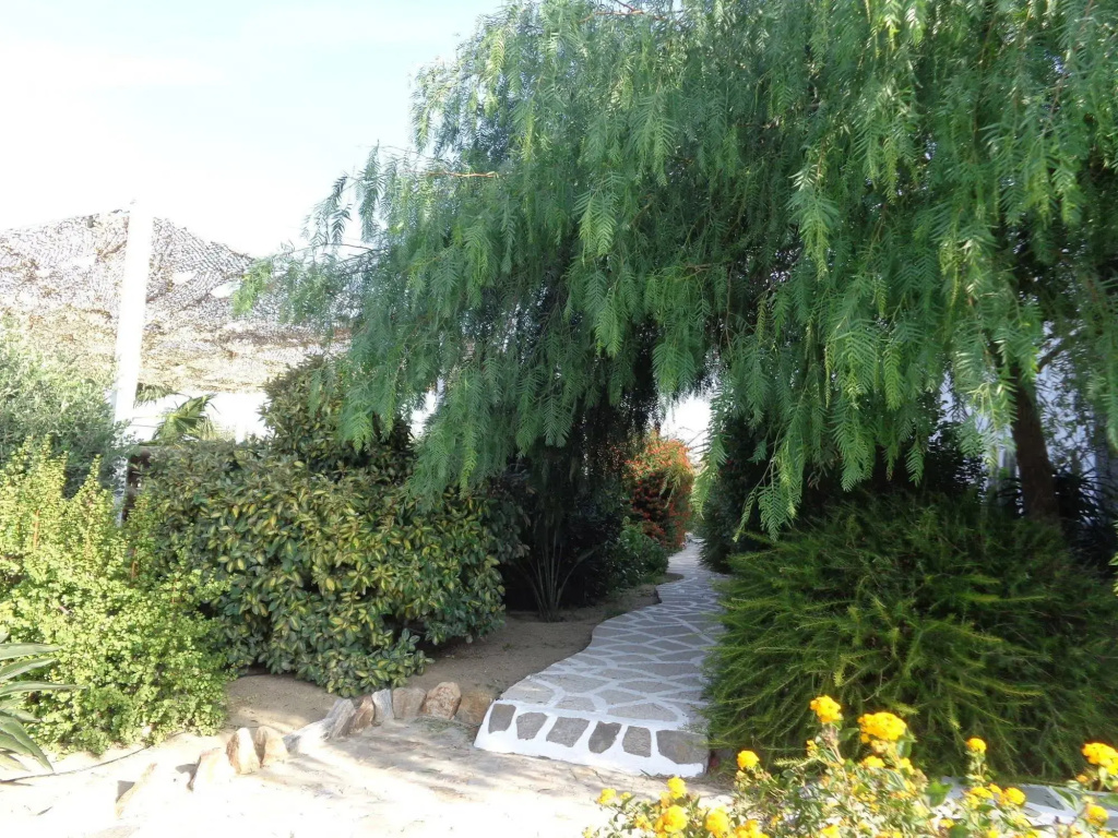 Hotel photo 26
