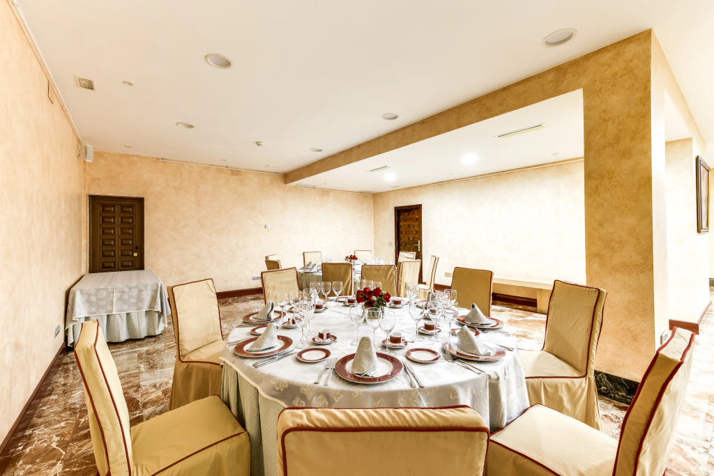 Hotel Sercotel Alfonso VI - Général