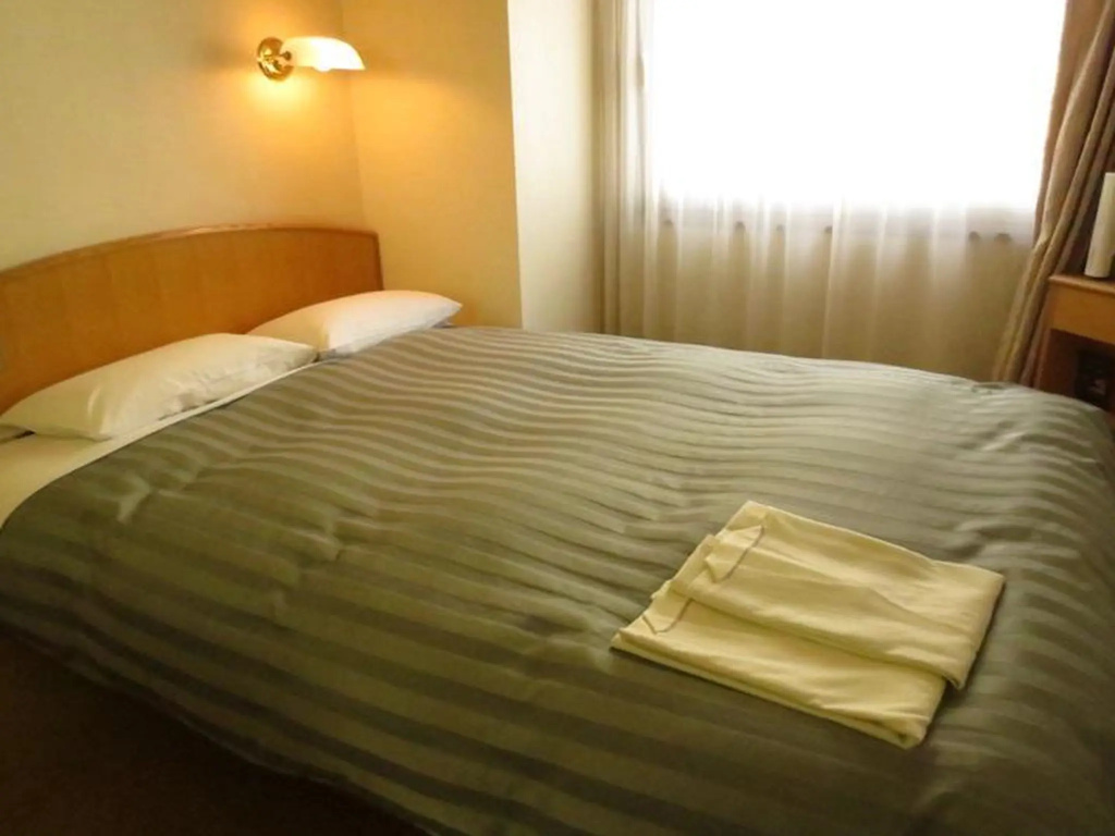 Kochi Pacific Hotel - Chambres