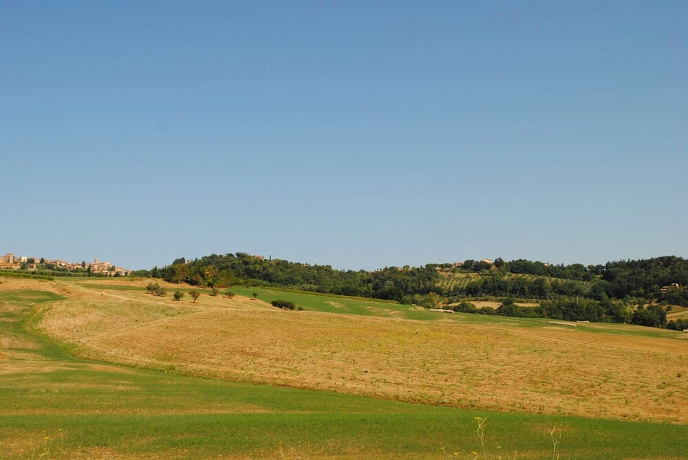 Lina - Podere Ribatti Casole D'elsa
