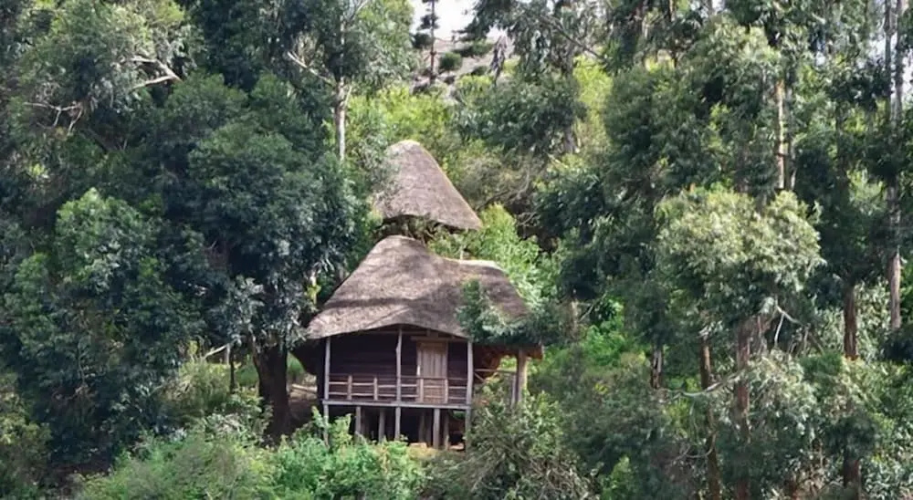 Lake Bunyonyi Eco Resort - Chambres