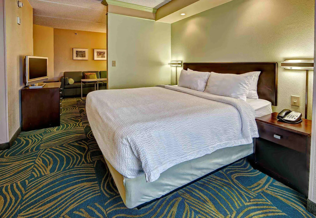 SpringHill Suites Marriott Norfolk Old Dominion University - Général