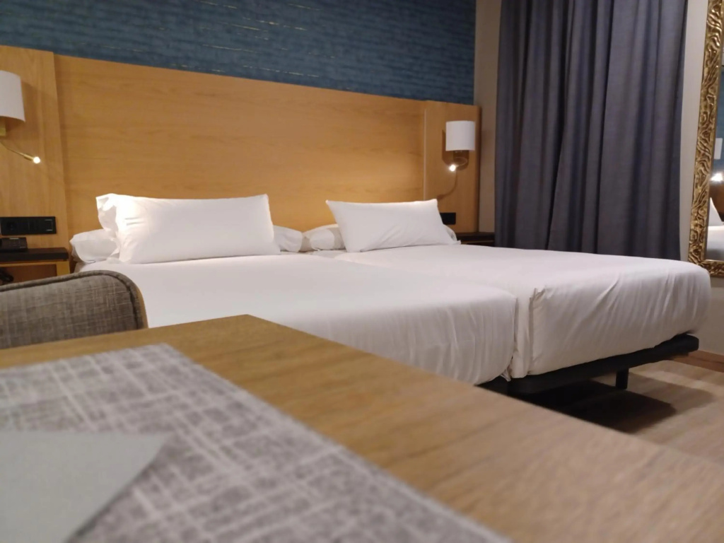 Hotel Zentral Mayoral - Général