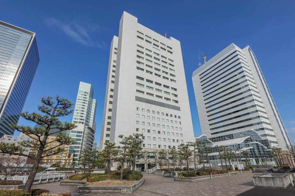 Bayside Hotel Azur Takeshiba Hamamatsucho - Général