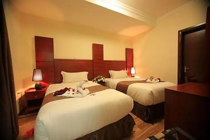 Miracle Hotel Addis Ababa - Chambres
