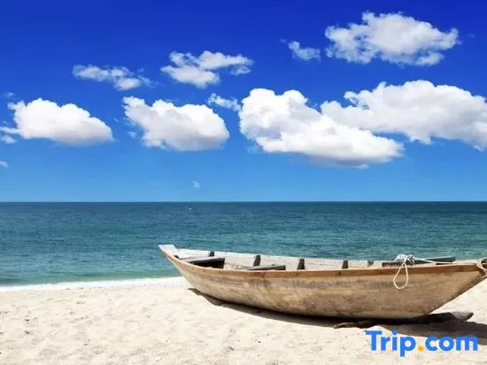 Beach & Waterfront