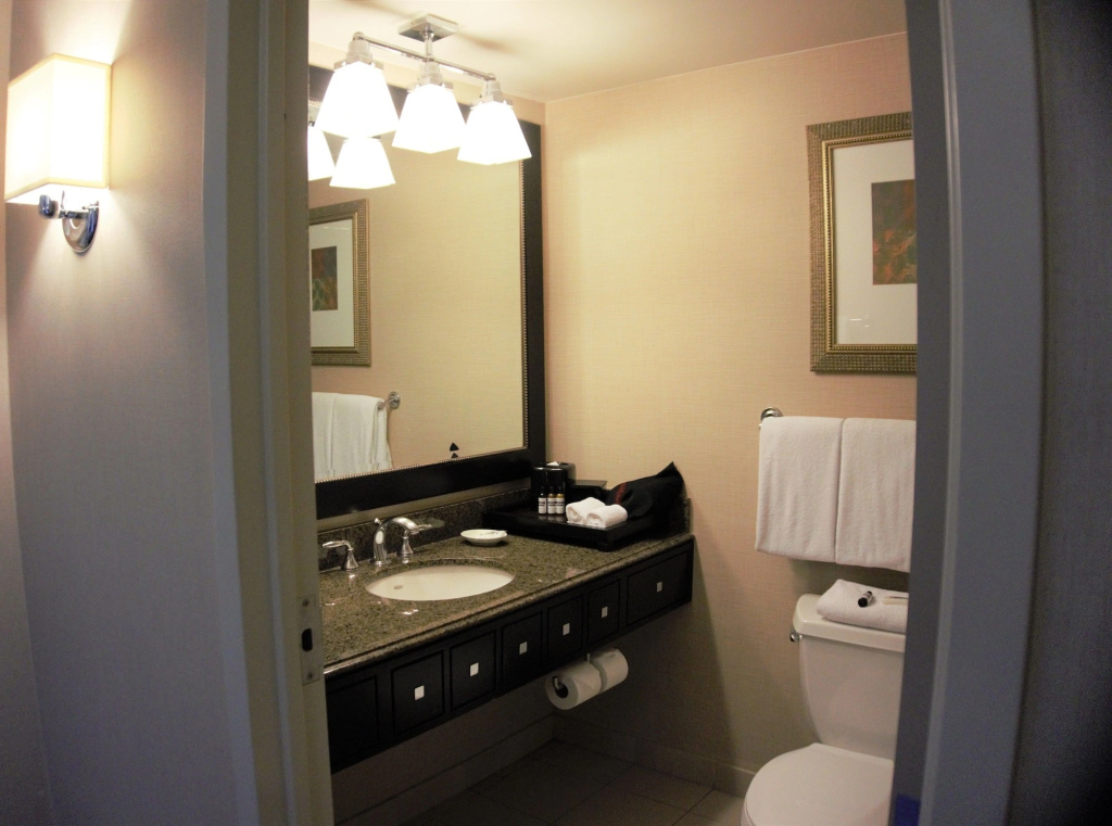 Hyatt Regency Reston - Général