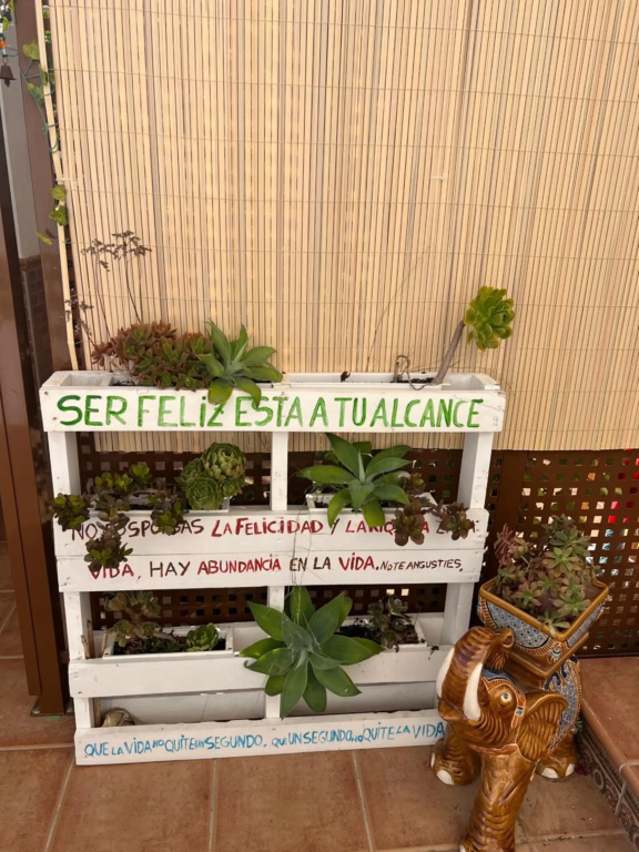 Hotel photo 36