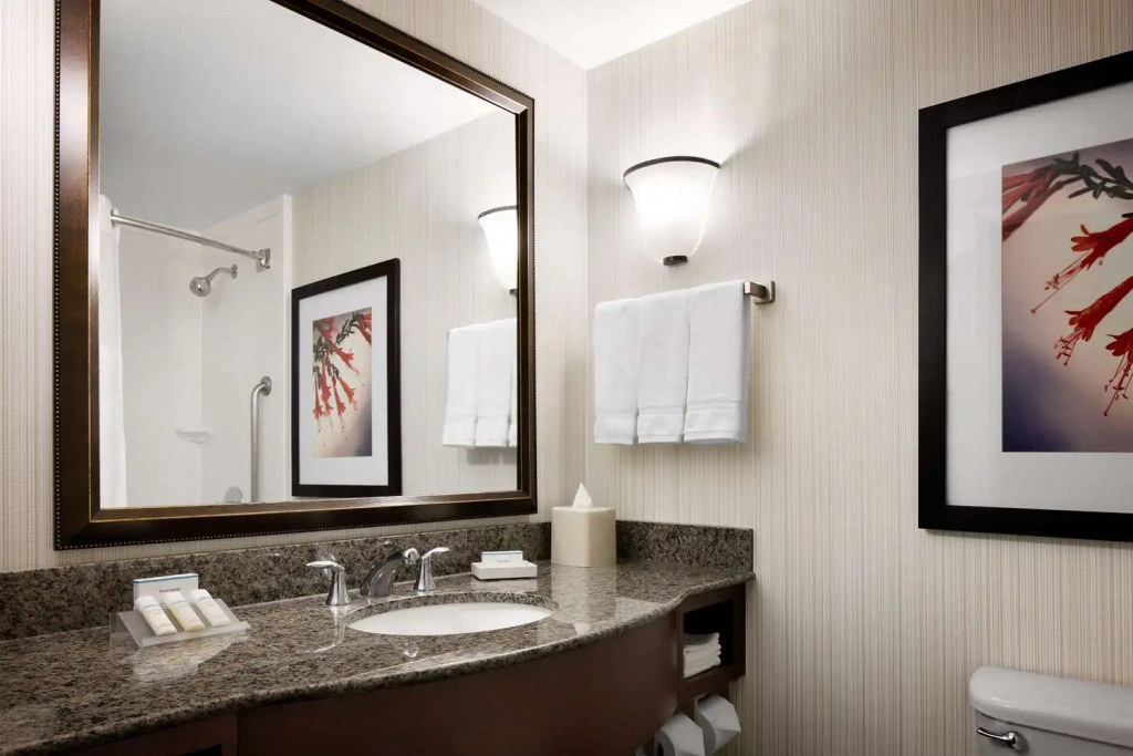 Hilton Garden Inn Denver South Park Meadows Area - Chambres