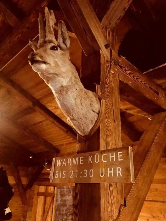 Köpfers Steinbuck - Général