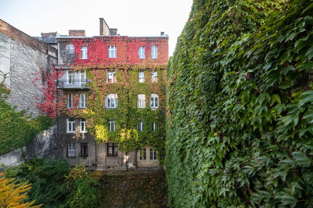 Levia apartment-with 2 bedrooms in the old town