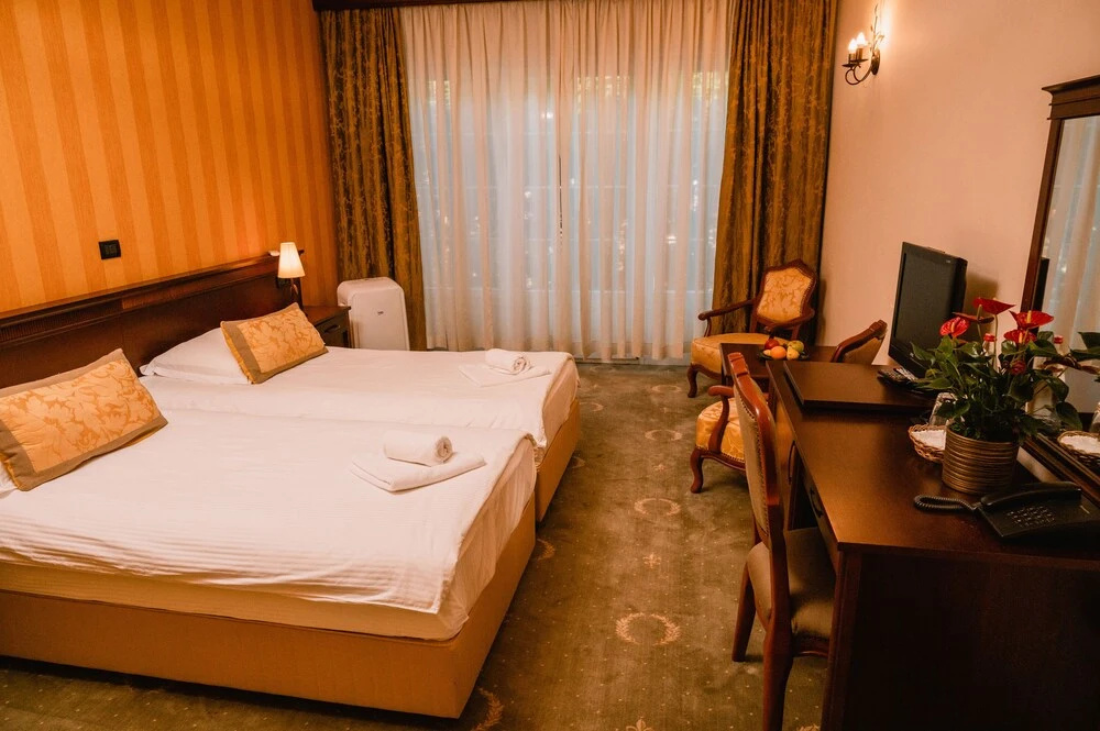 Standard Double room (twin beds)