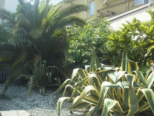 Hotel photo 27