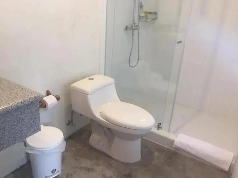 Standard Double room with balcony (twin beds)