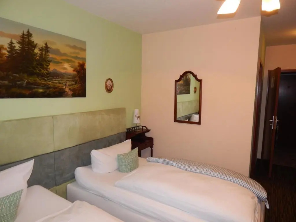 Standard Double room (twin beds)