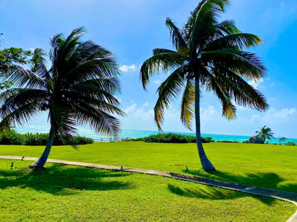 Blue Horizon Boutique Resort - Adults Only - Général