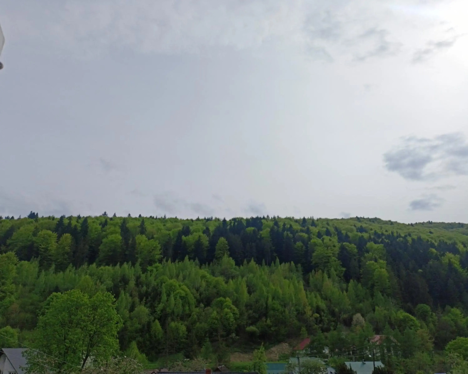 Гостьовий двір