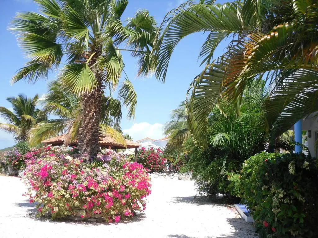 Marazul Dive resort - Chambres