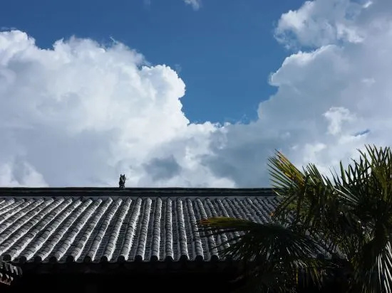 apartmentpicture