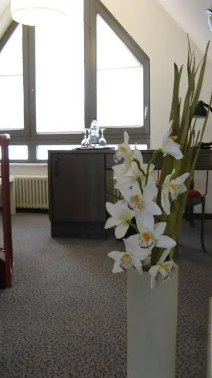 Hotel Am Schlossberg - Général