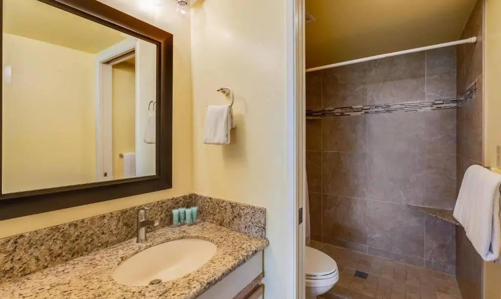 Castle at Maui Banyan - Chambres