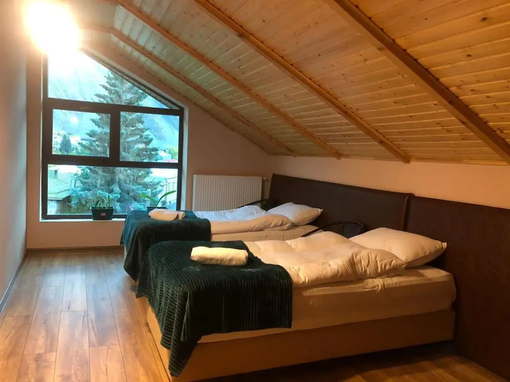Standard Double room with mountain view (twin beds)