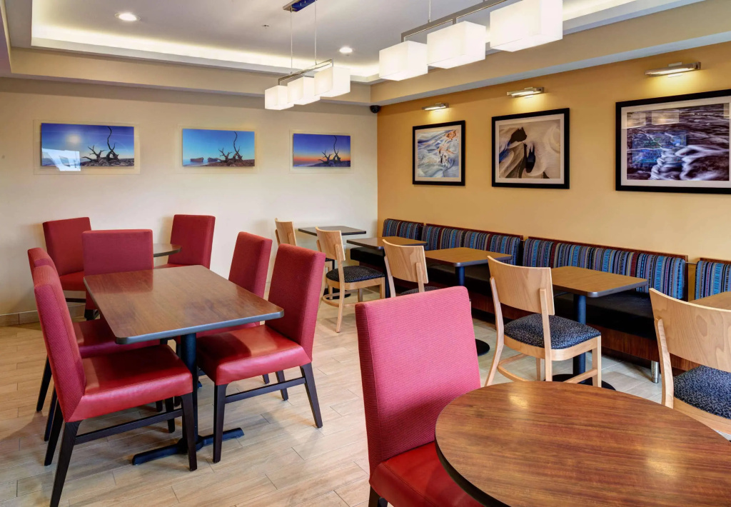 TownePlace Suites by Marriott Detroit Troy - Général