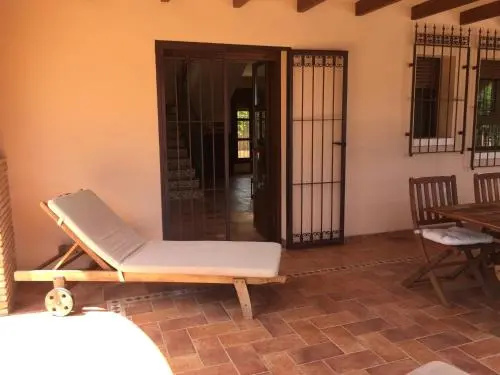 Mil Palmeras