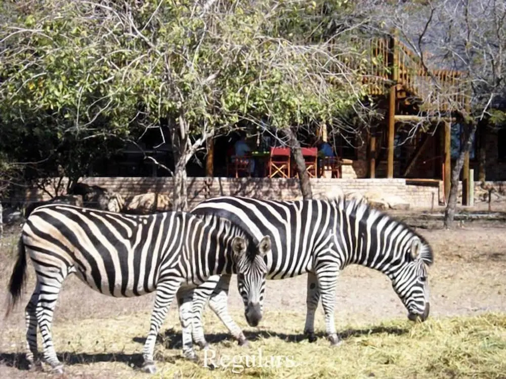 A Zaganaga Kruger Lodge - Général