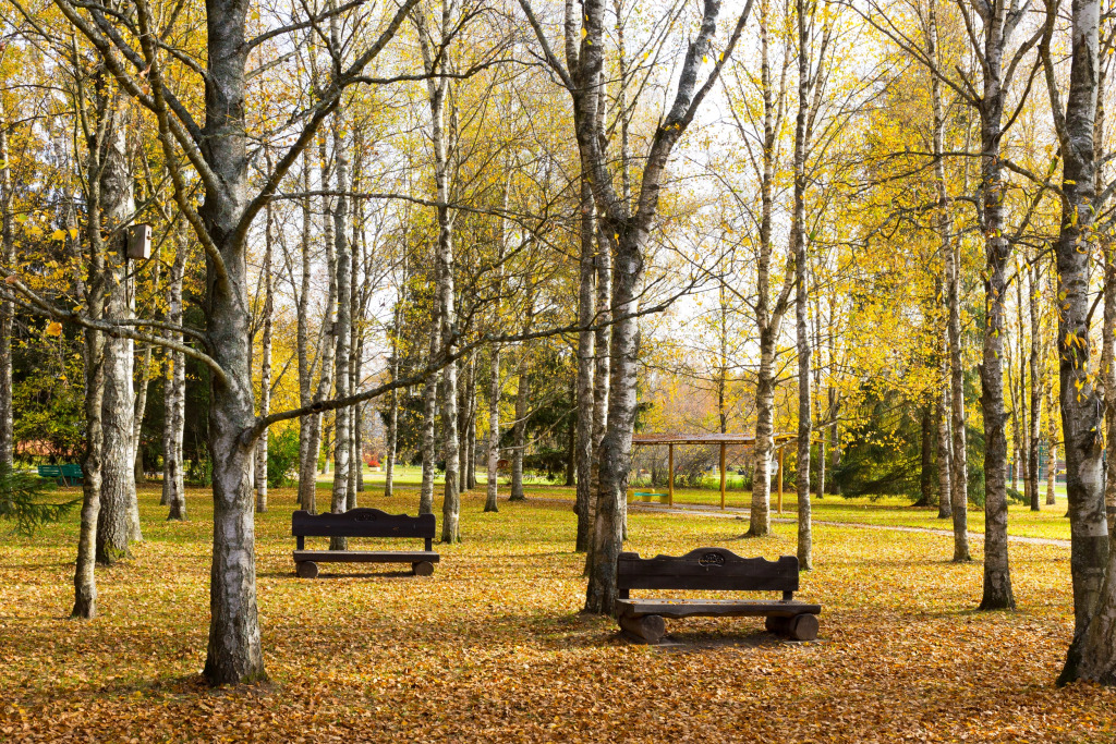 Пансионат Поляны - фото 38