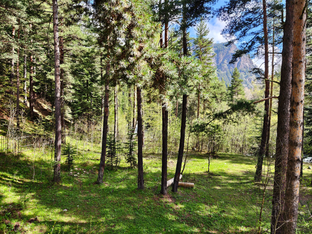Hotel photo 34