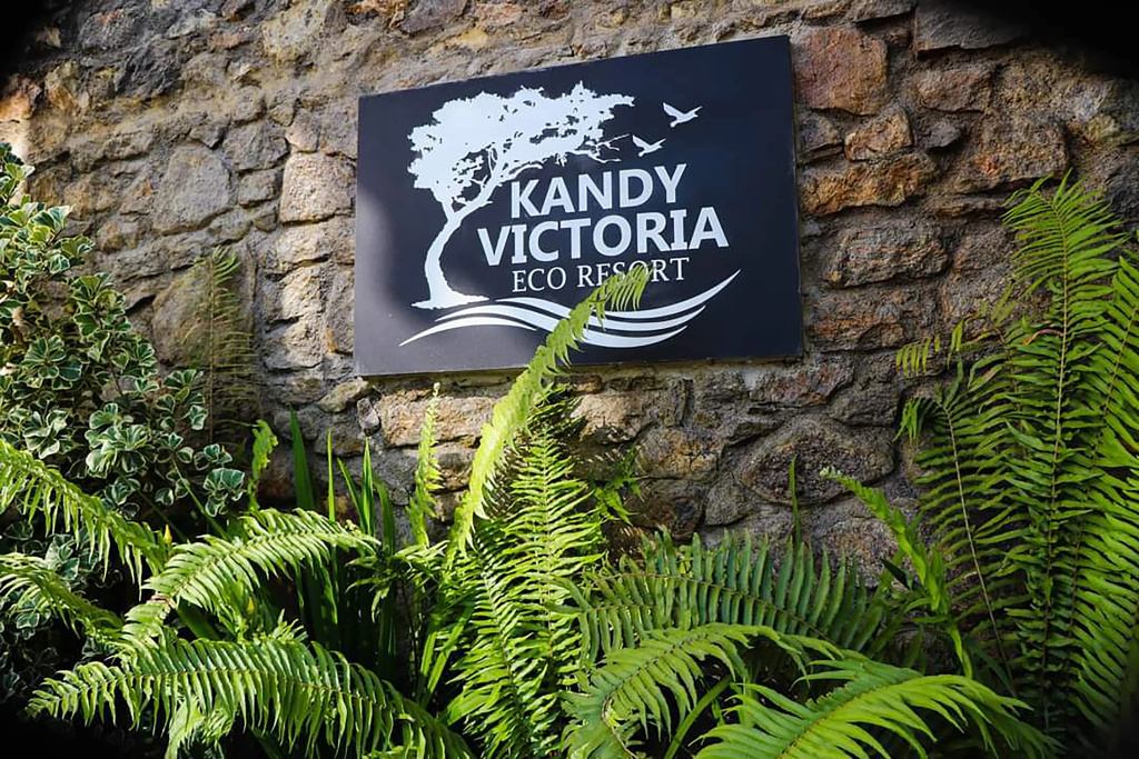 Курортный отель Kandy Victoria Eco — фото