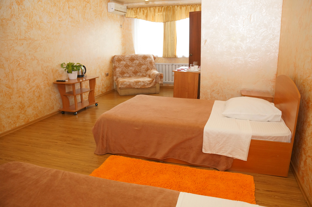 Standard Double room (full double bed)
