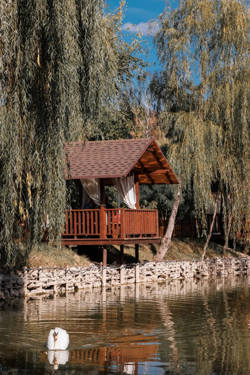 Poiana Bradului Complex Hotelier & Restaurant Resort - Général