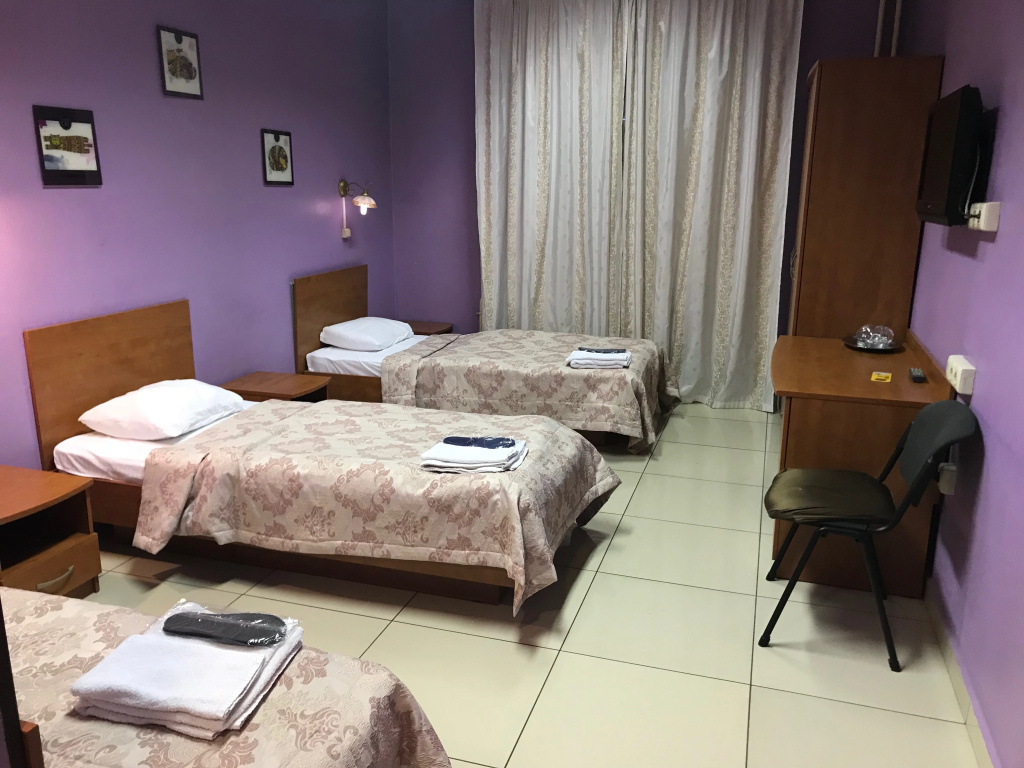 Standard Triple room with city view