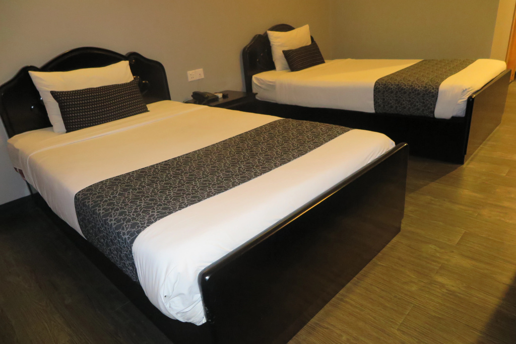 Standard Double room (twin beds)