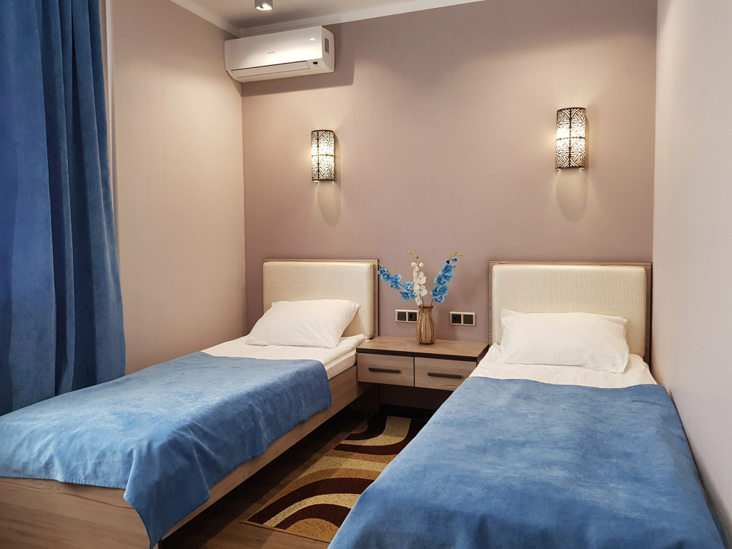 Standard Double room (twin beds)