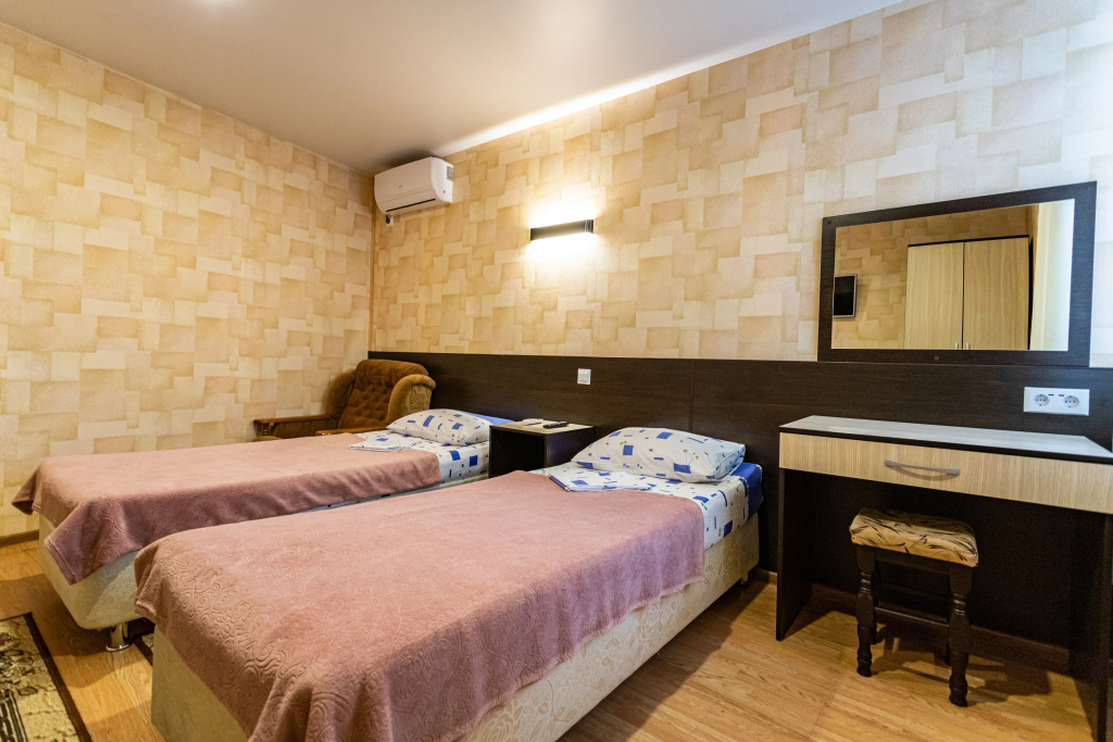 Standard Double room (twin beds)