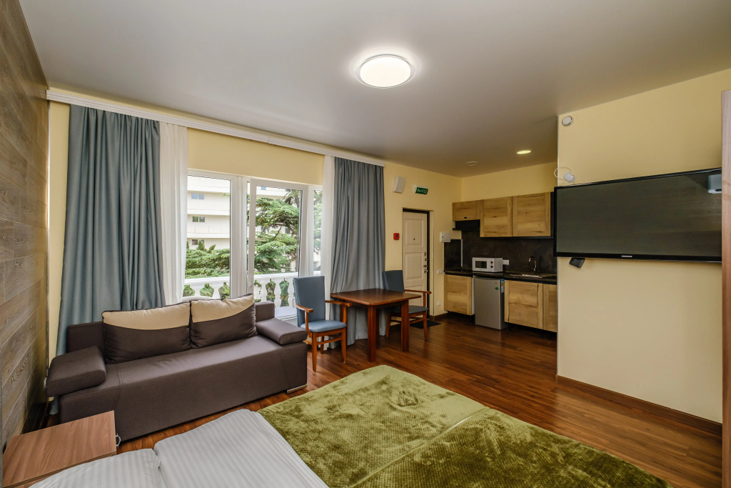 1 Bedroom Apartment with view