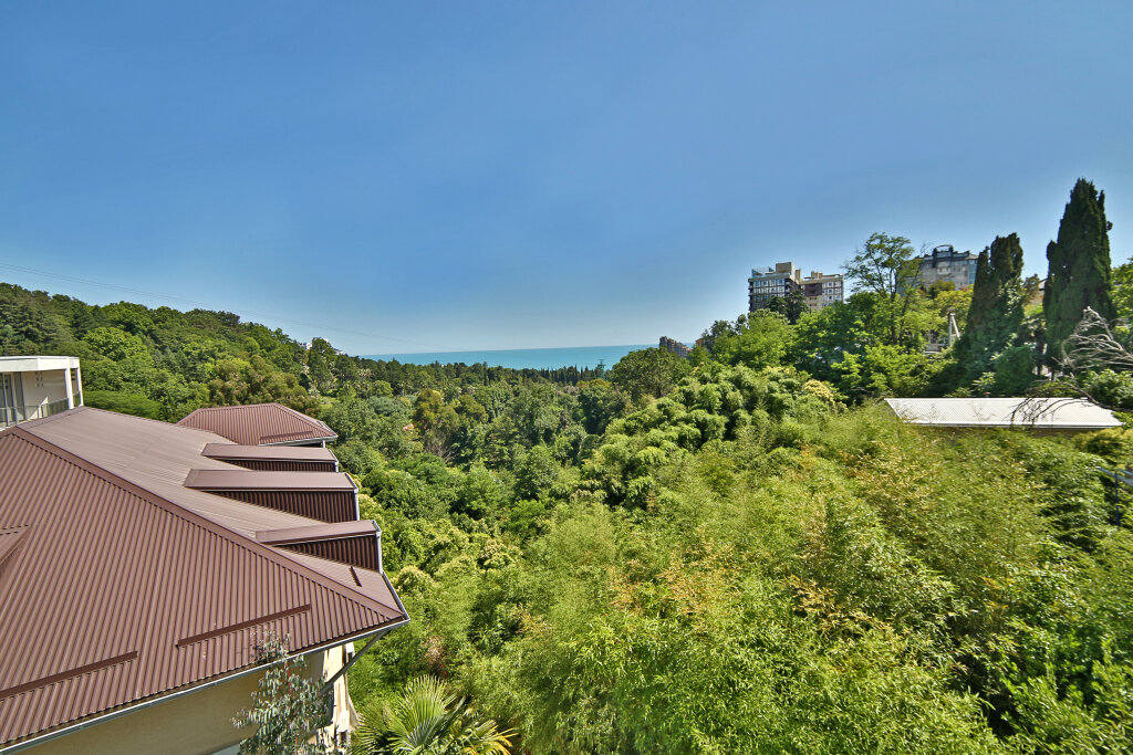 Трёхместный номер с видом на море и дендрарий в Delsochi