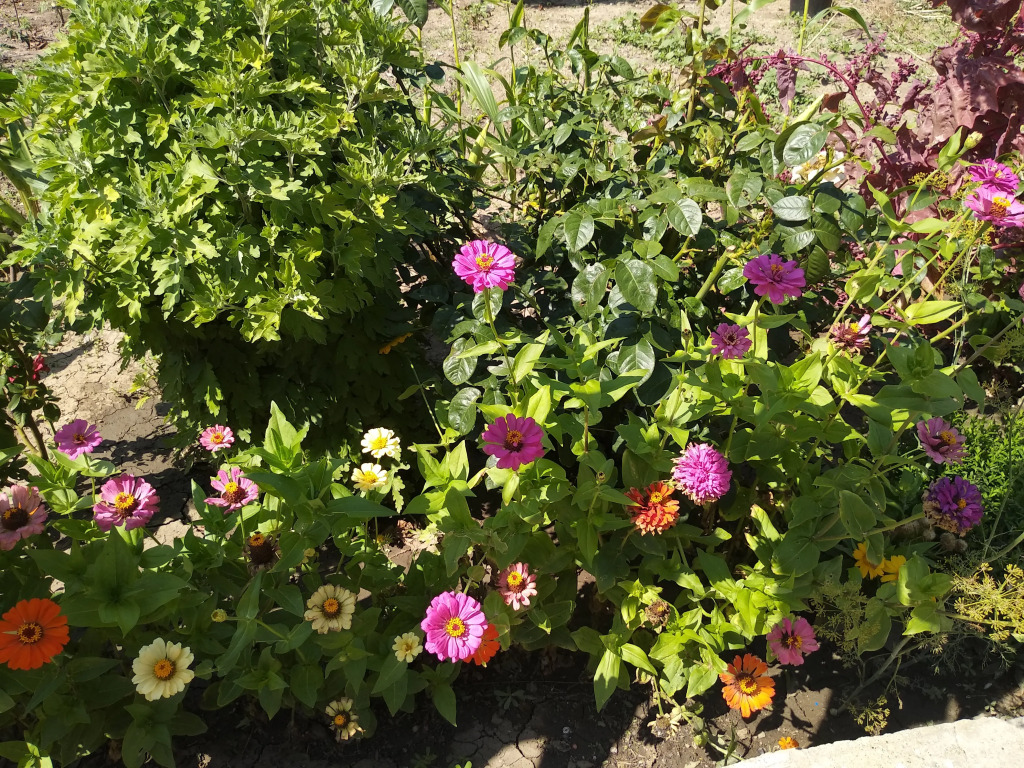 Гостевой Дом Ариадна - фото 26