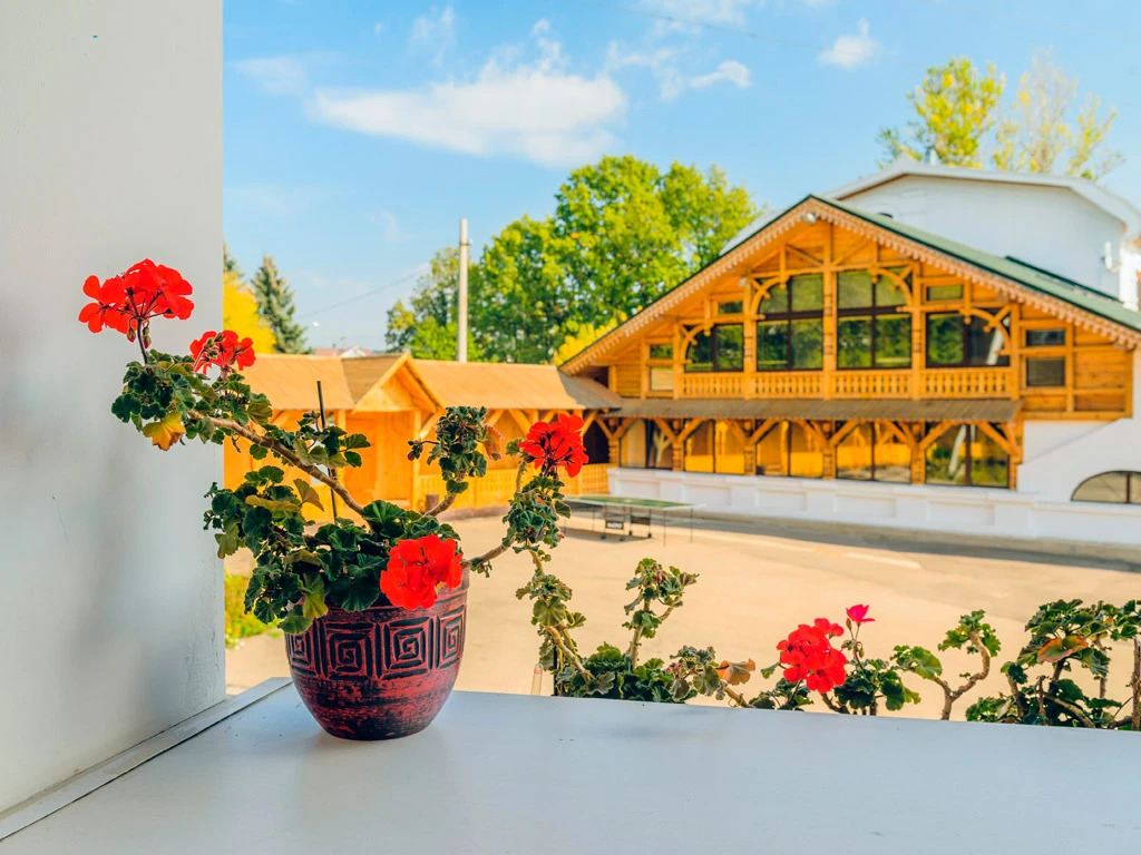 Usadba Romashkovo Hotel